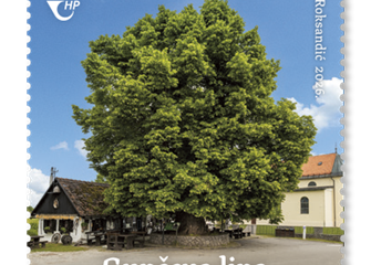 MARKA_Gupceva lipa.png